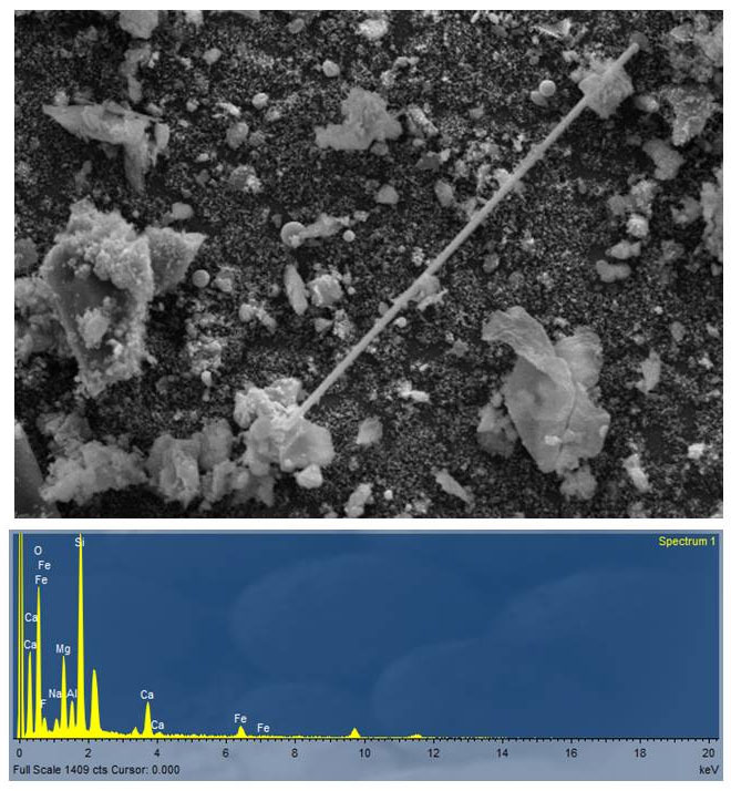 Fibra di fluoro-edenite in campione di particolato atmosferico e relativo spettro EDX