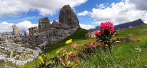 La montagna si veste a festa !