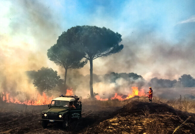 La bellezza brucia - Incendio doloso del Parco Archeologico Cellarulo in Benevento, 7/9/20