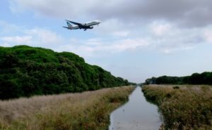 Impatto di Fiumicino Aereoporto sull'Oasi WWF di Macchiagrande (RM)